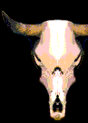 cowskull